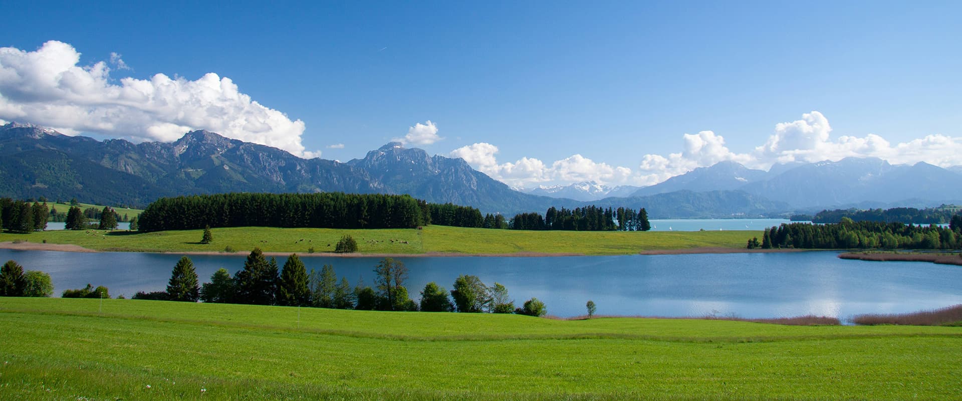 Lake, green meadows and mountains with snow in spring