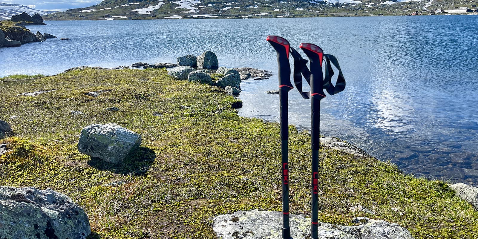 Leki Makalu hiking poles