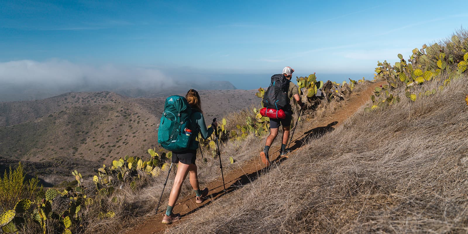 two persons hiking on the Trans-Catalina trail with Gregory backpacks