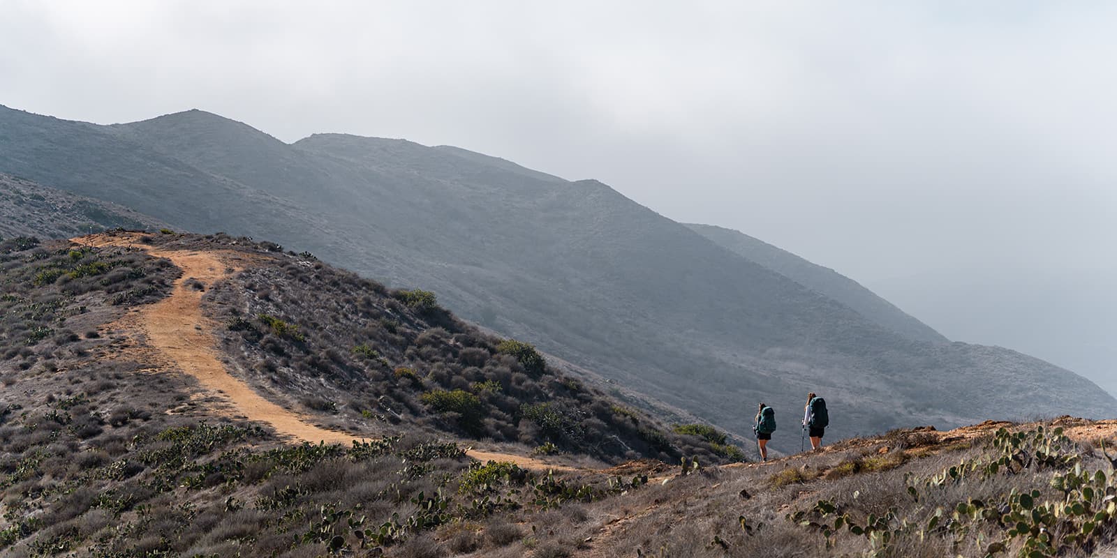 two persons hiking on the Trans-Catalina trail with Gregory backpacks