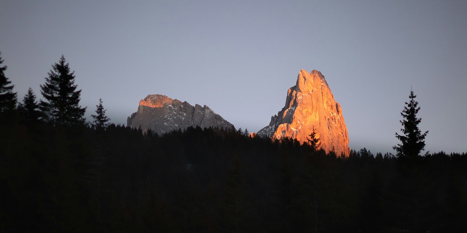 dark forest with sun hitting mountain top in the background