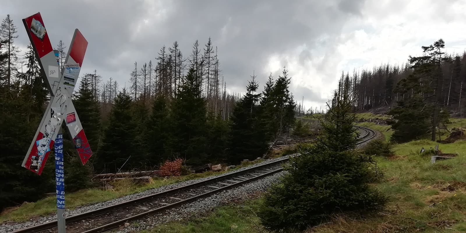 train tracks in forest in Germany