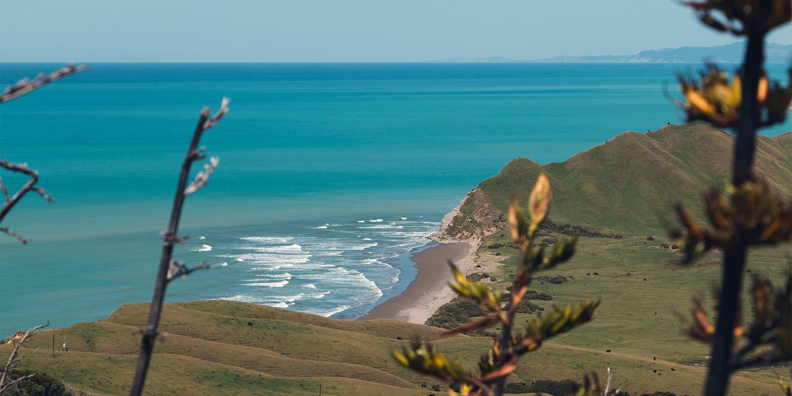 view of the ocean from top of a hill in New Zealand