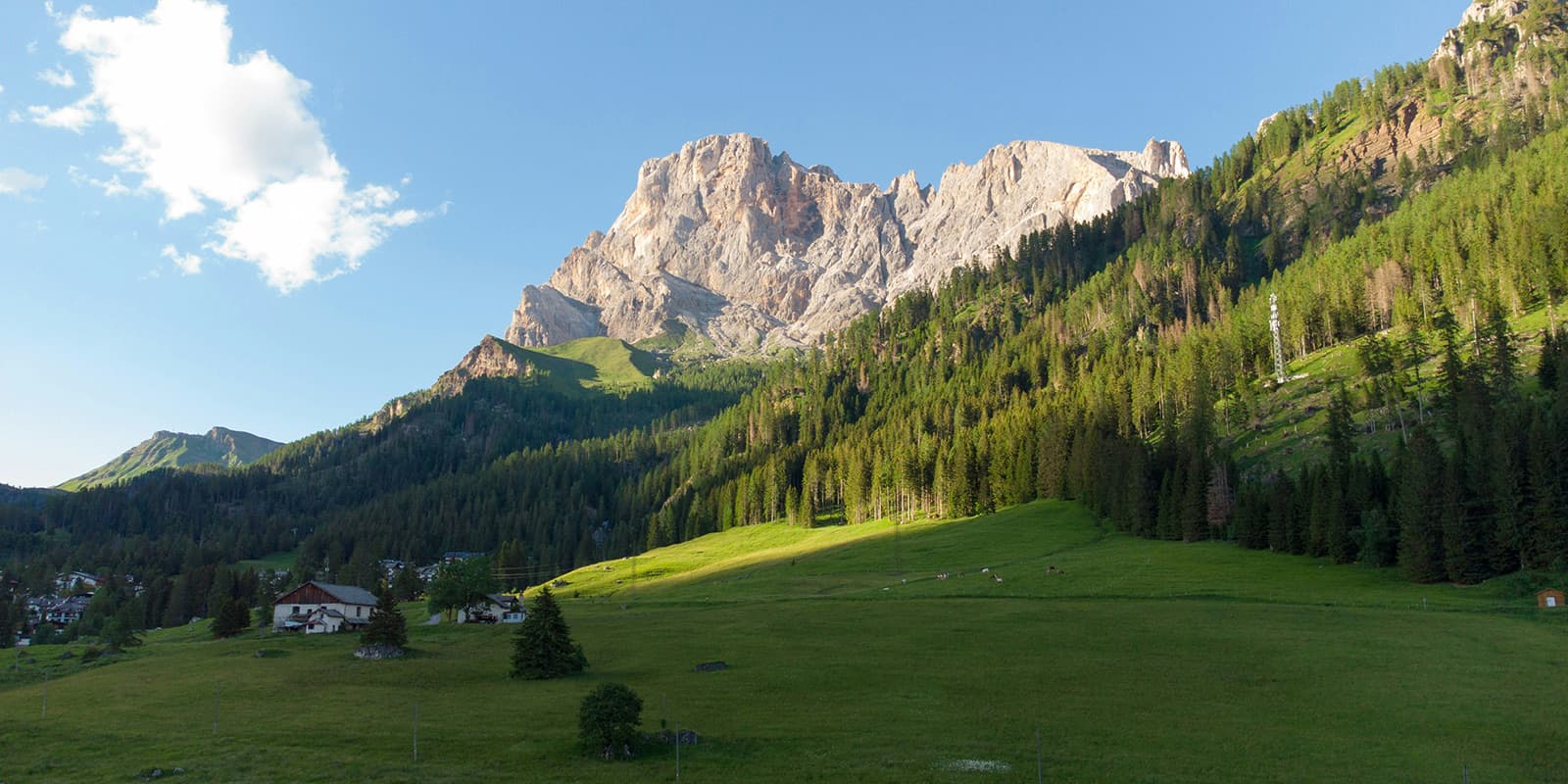 grassy valley with trees and mountains in the background in northern Italy