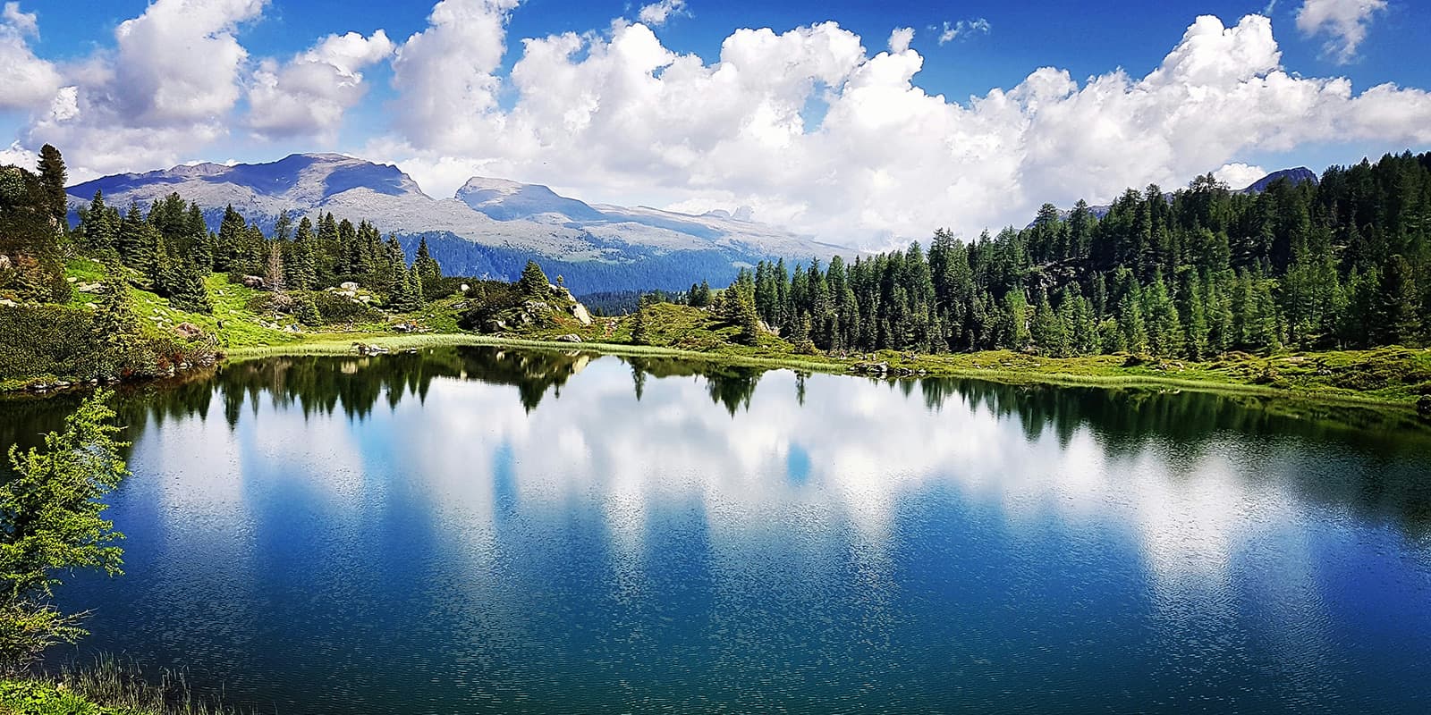 green trees near blue lake in the Italian Dolomites