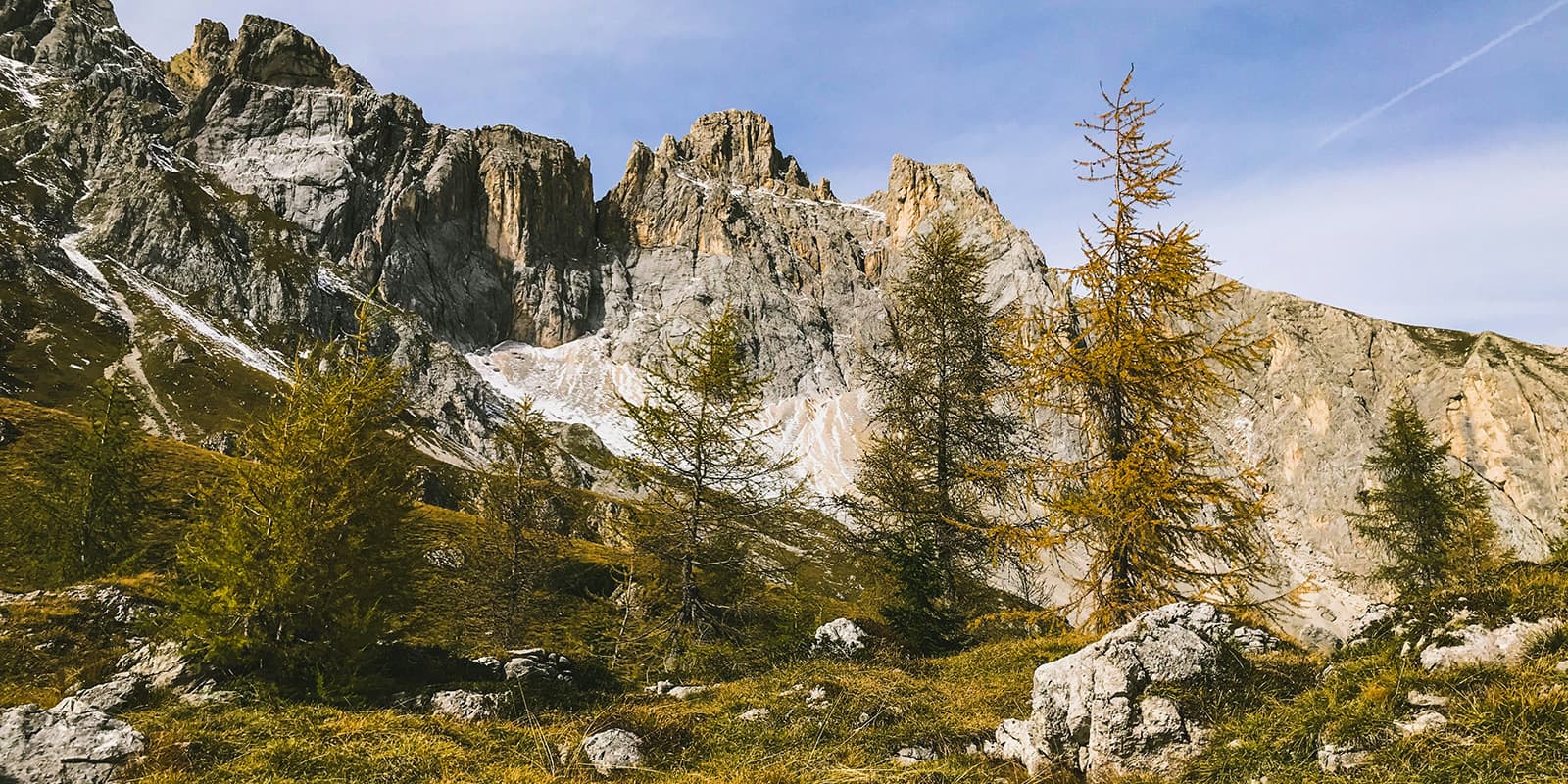 green trees near mountains during daytime