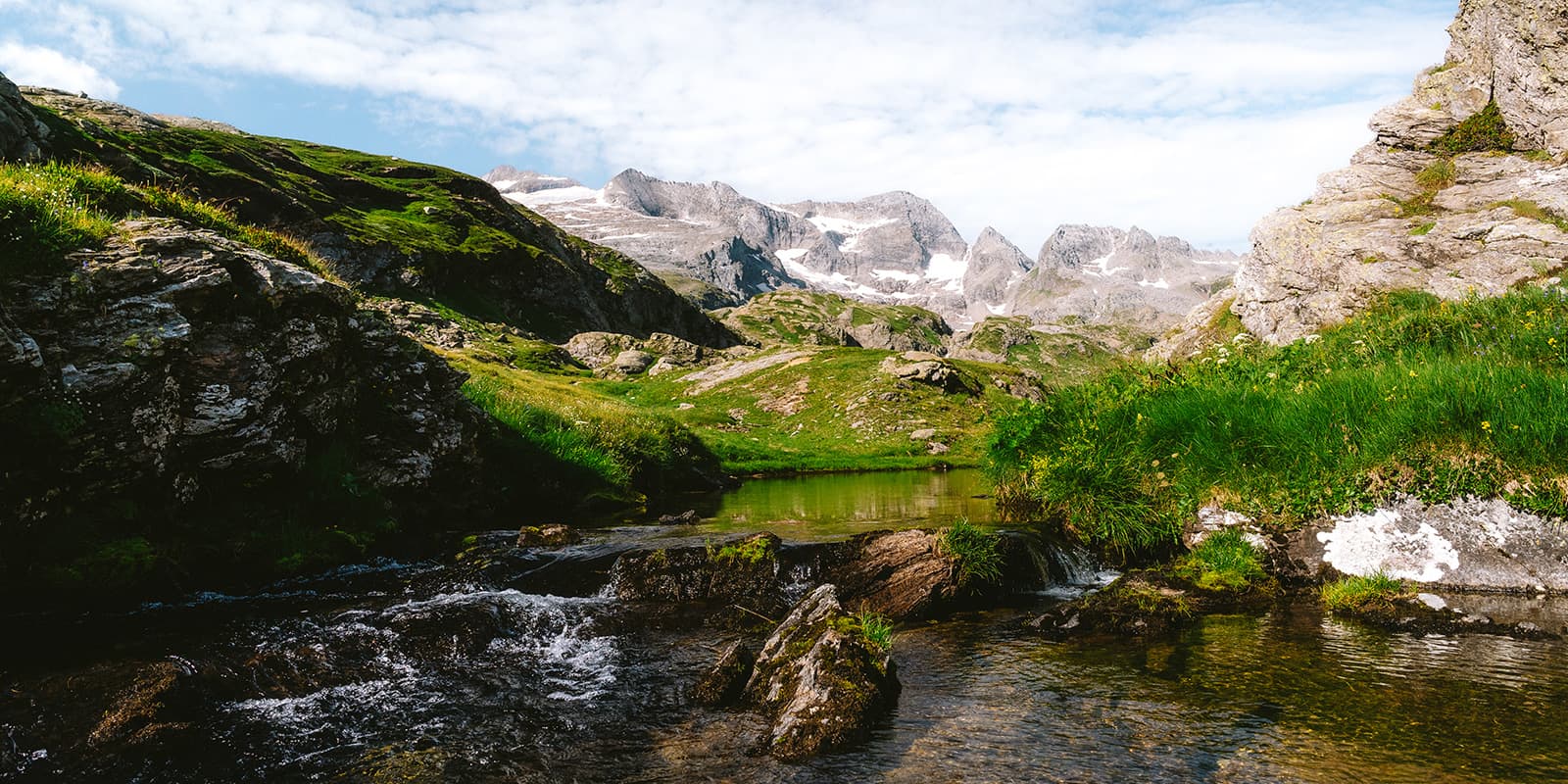 river in swiss alps and green meadows