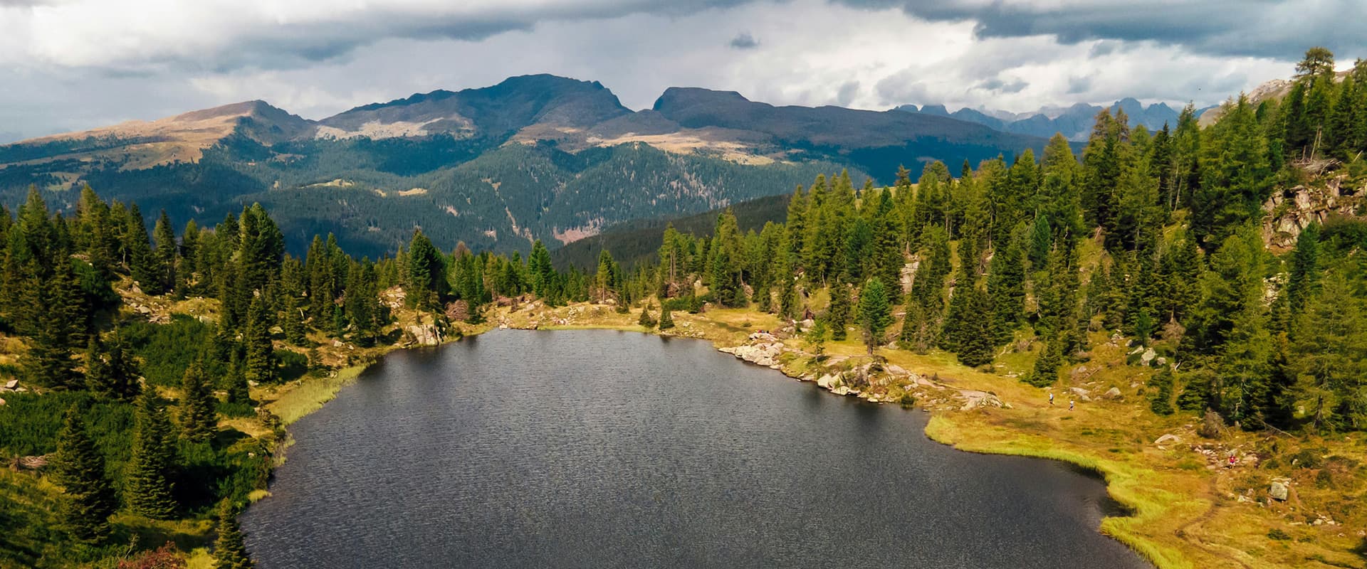 green trees near lake under cloudy sky