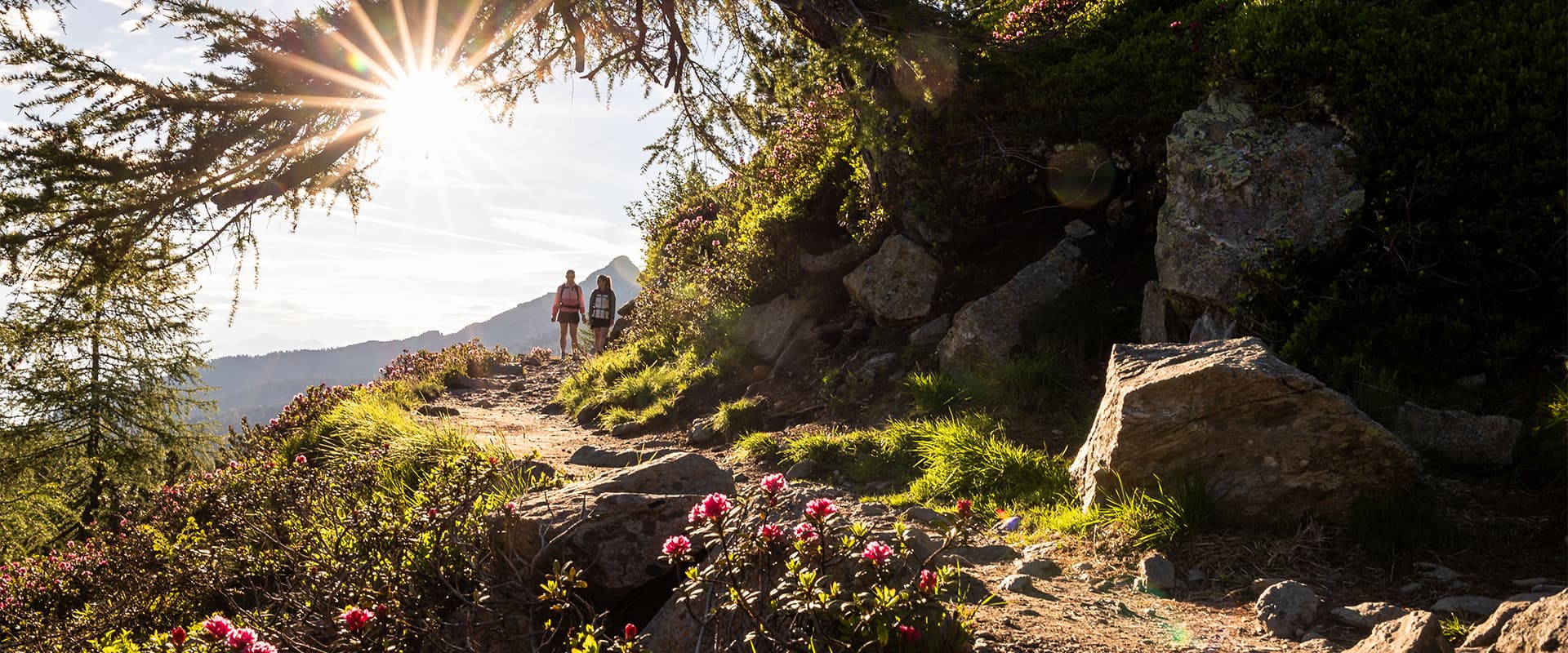 two women hiking on the Panoramaweg Pleisen Trail near the Patscherkofel
