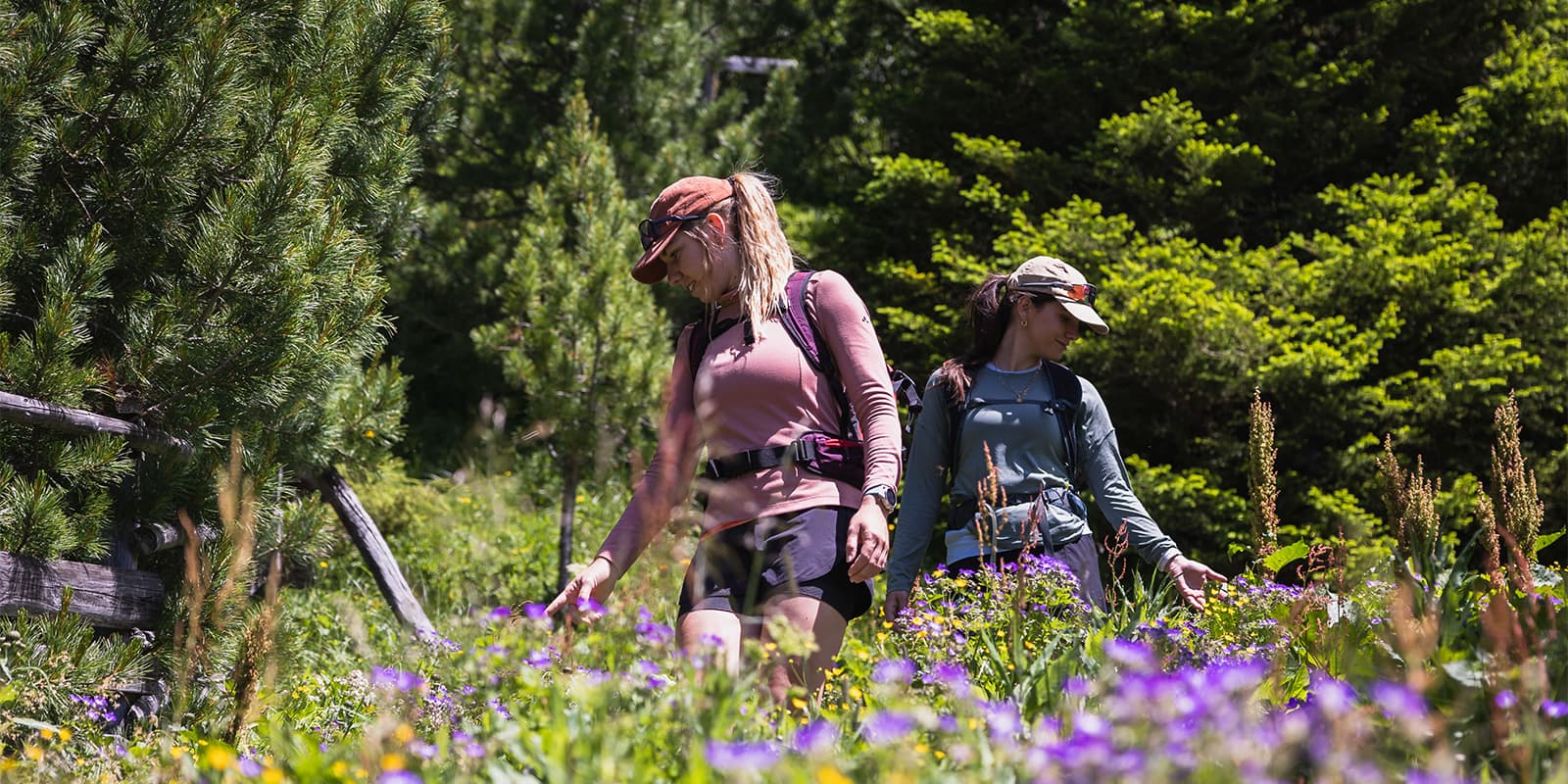 women hiking through colorful mountain meadow