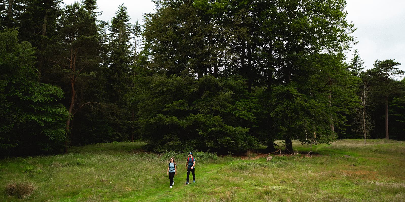 two hikers on grassy hiking trail near a forest in the Netherlands