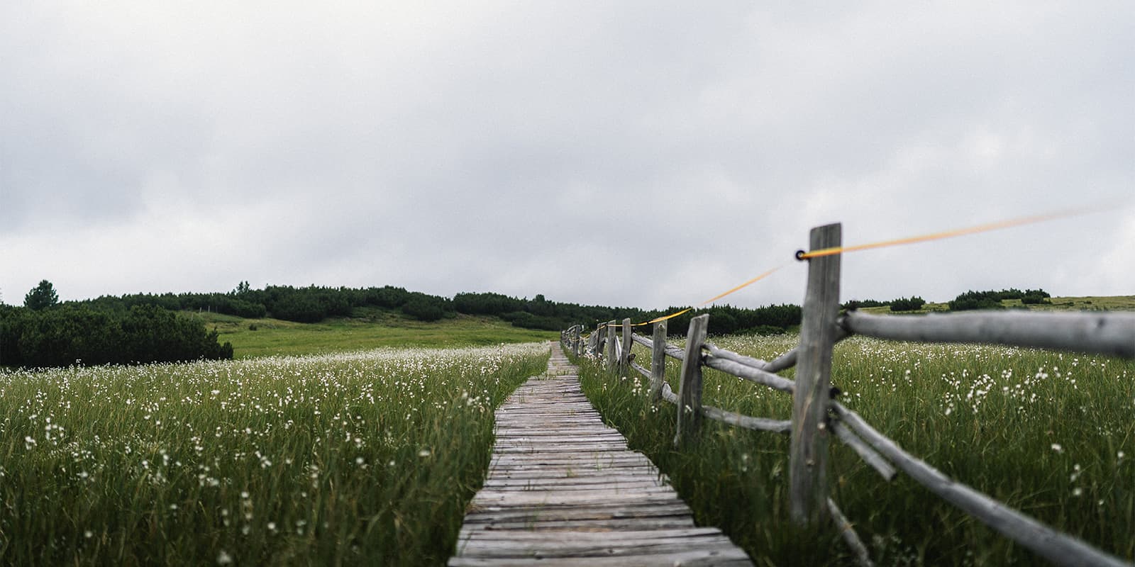 wooden pathway in green hill landscape in the Sartaler Alps