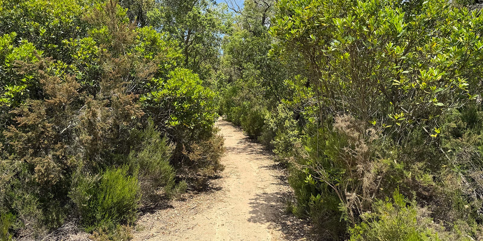 GR 92 hiking trail on dirt path near the coast