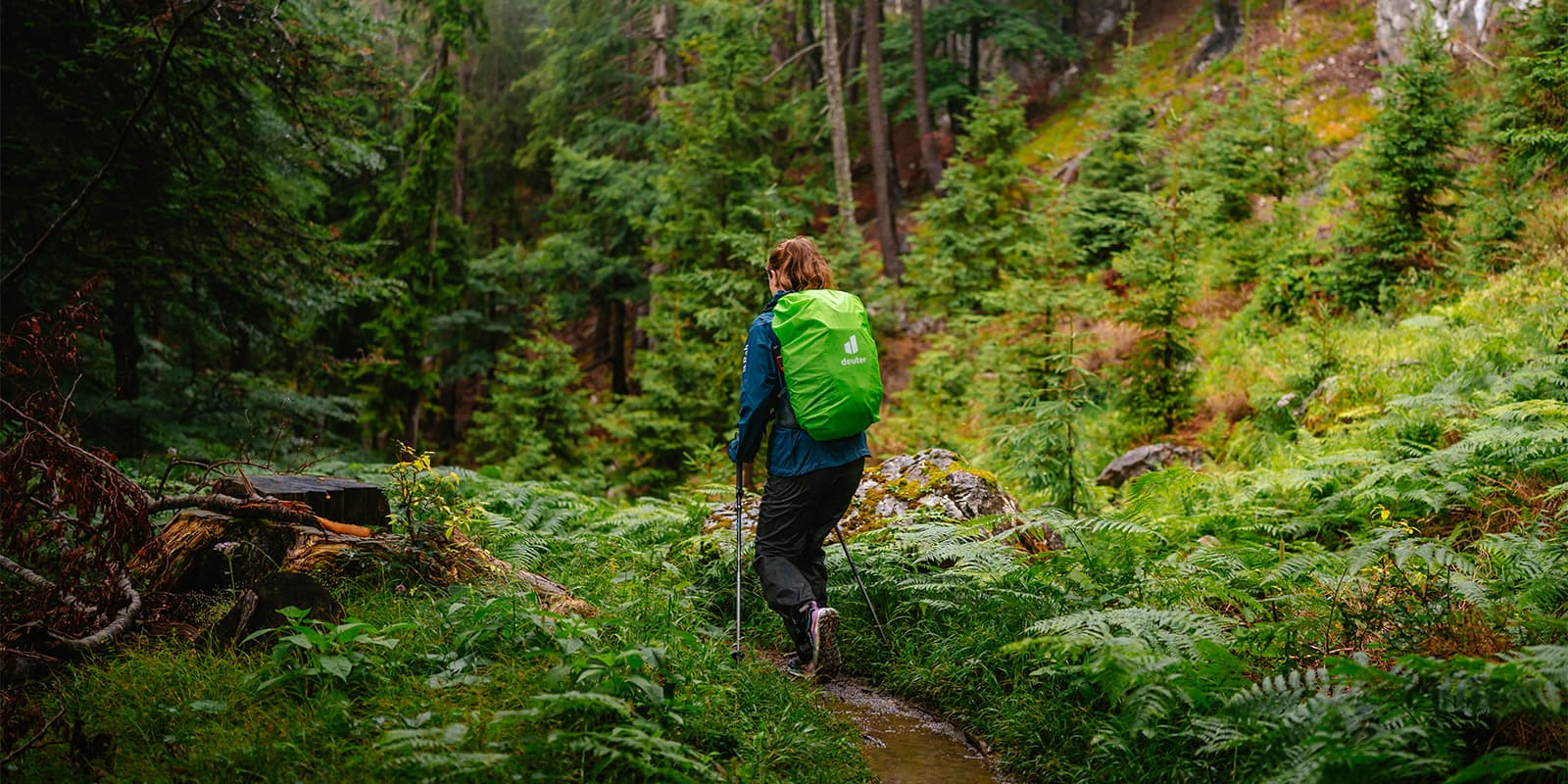 person hiking in green forest with rain cover over her Deuter backpack