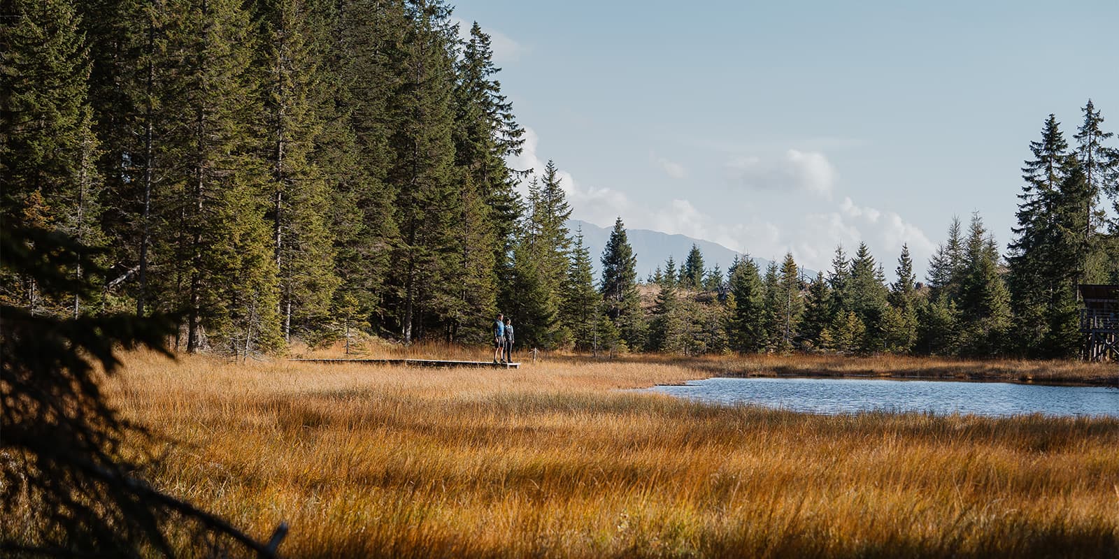 people overlooking small mountain lake in the forrest