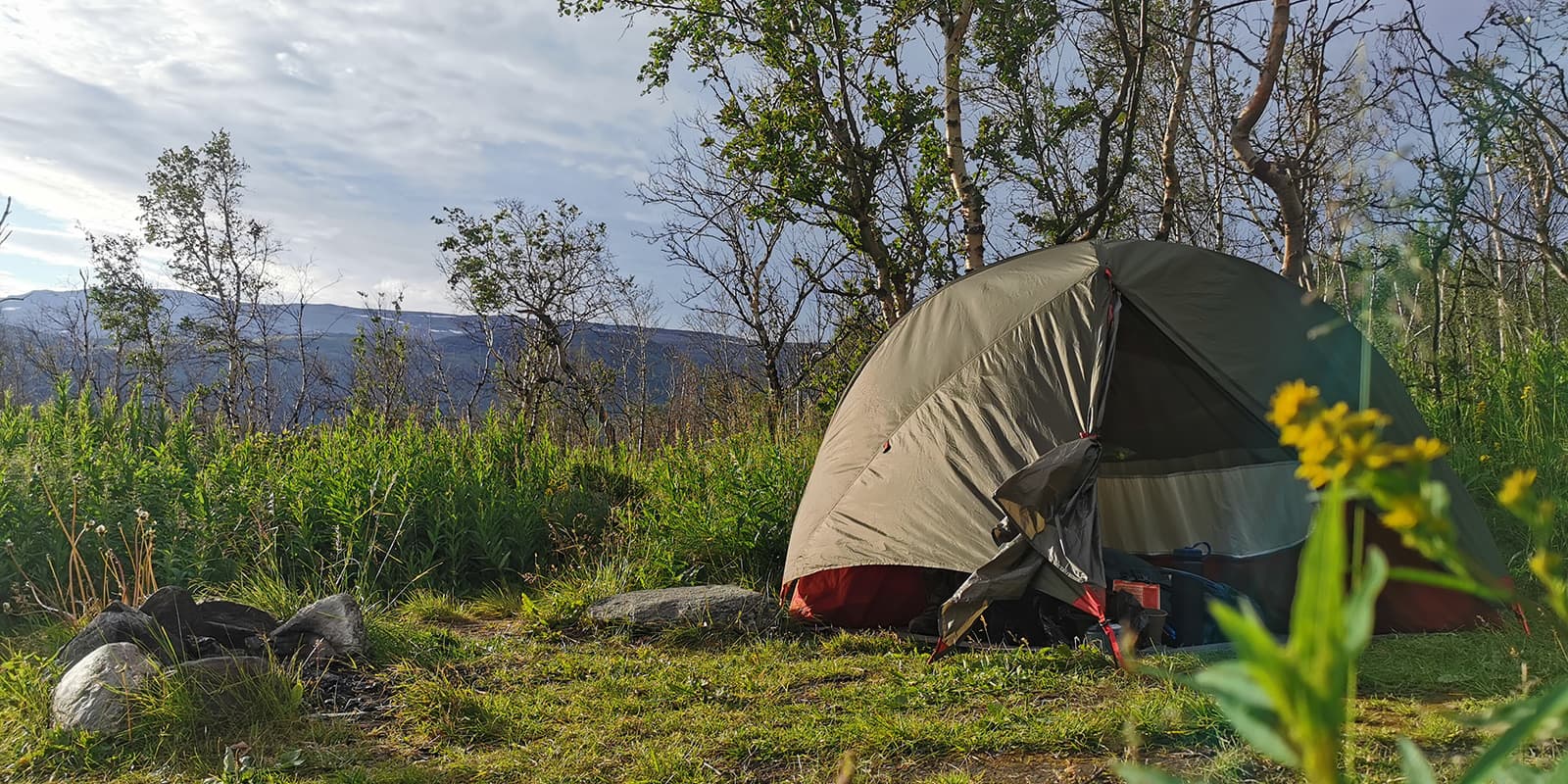 tent in a field surrounded by trees and bushes