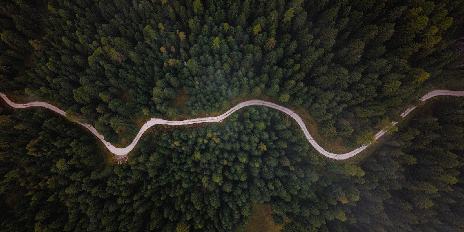 drone shot top down of forest road on the Almweg 2000 hiking trail