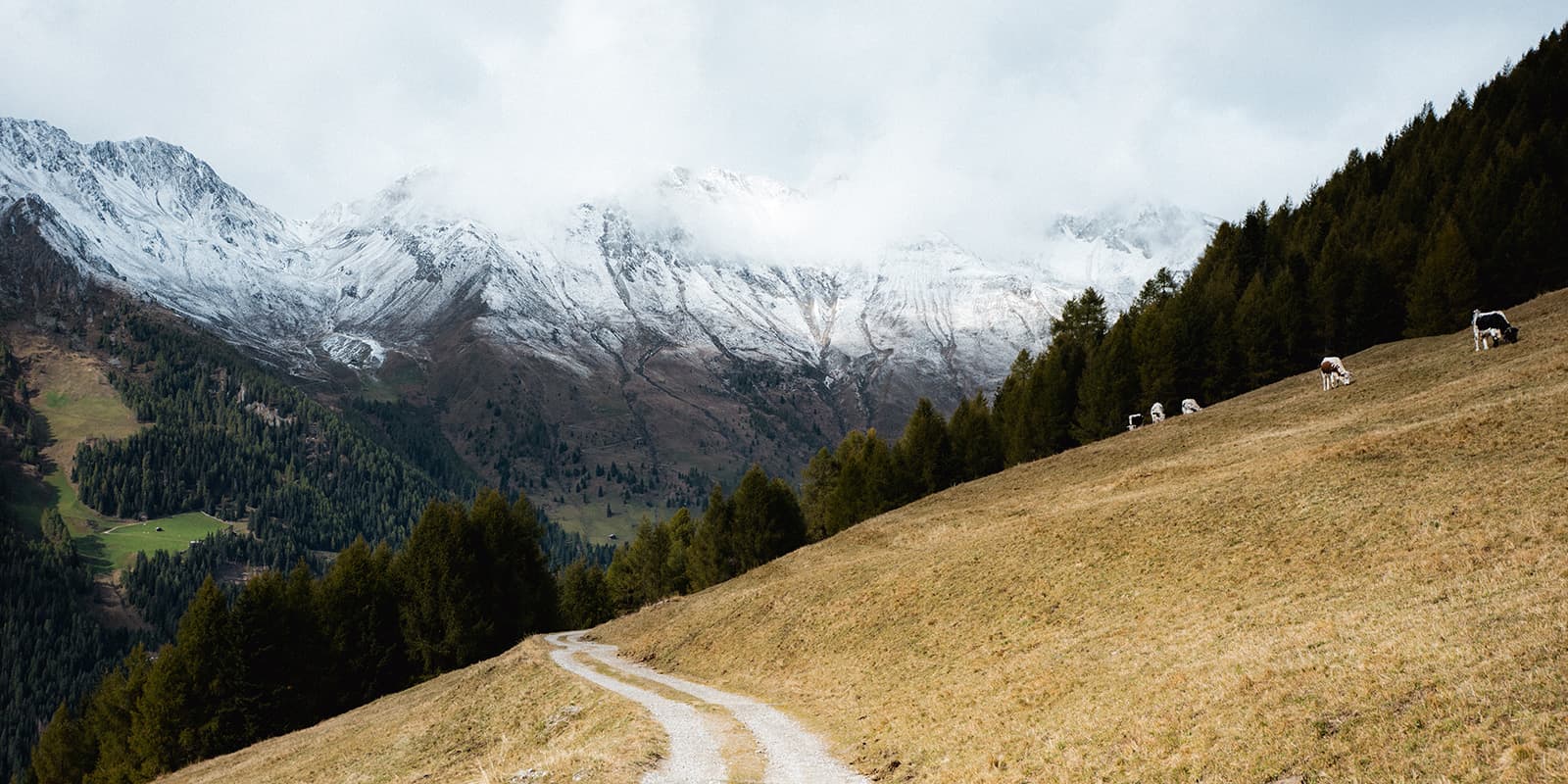 road on a sloped hill in the Gsiersertal valley with Dolomites mountains in the background