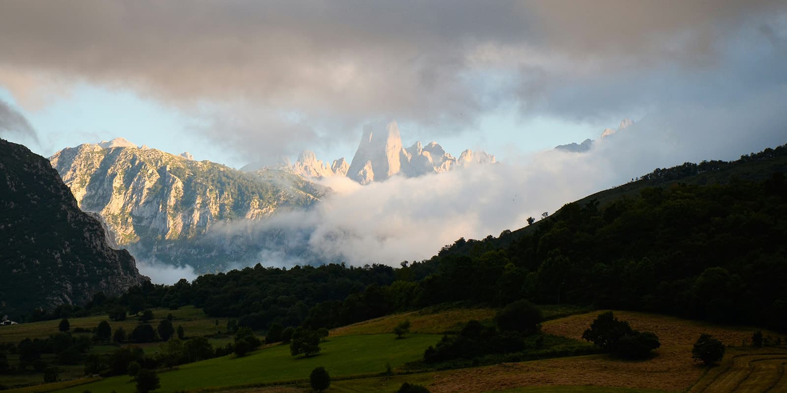 green field with trees with sun lit mountains in de background