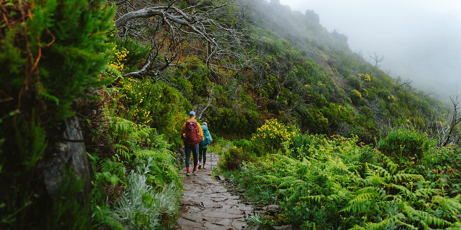 two hikers on stone hiking trail on the PR1 in Madeira