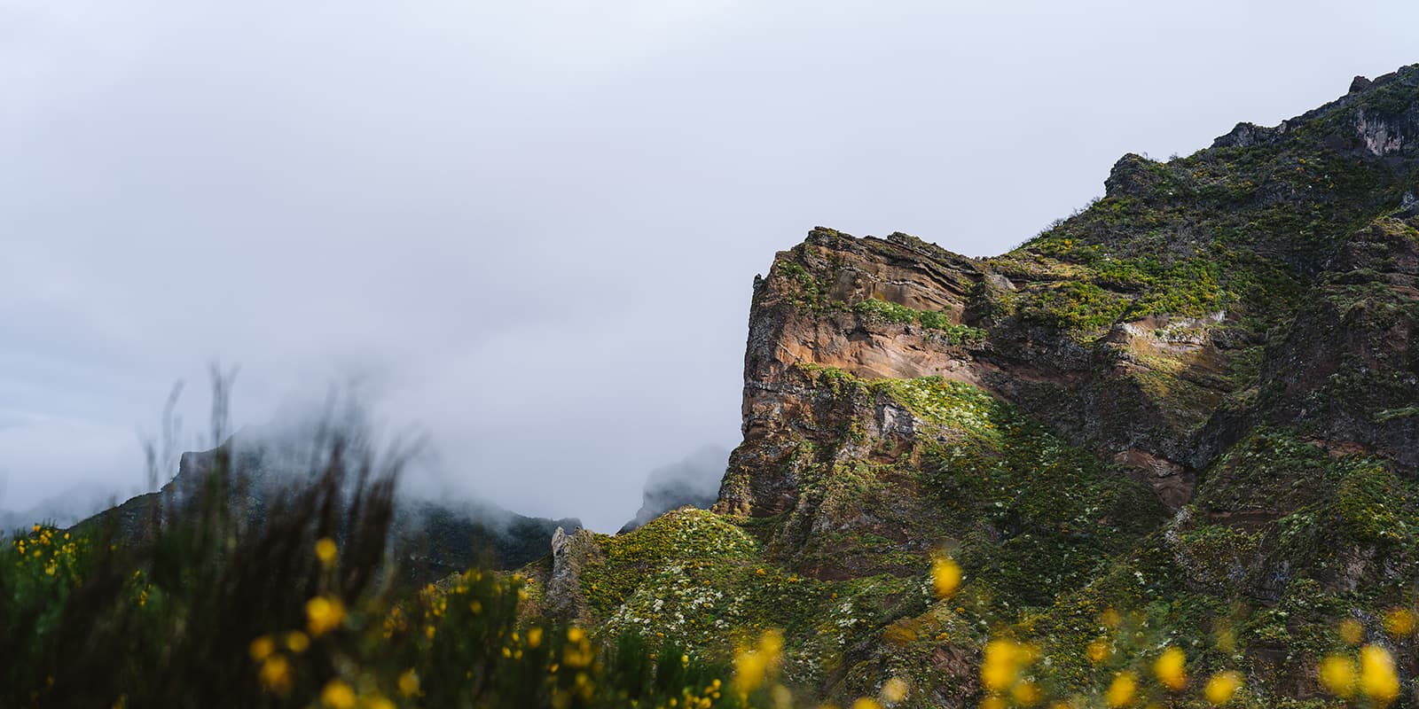 lush green mountains of Madeira