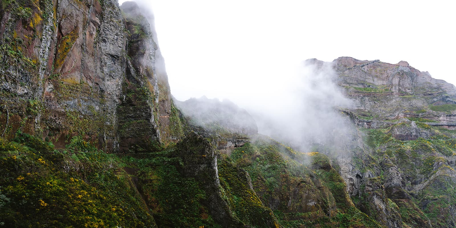 lush green mountains of Madeira on the PR1 hiking trail