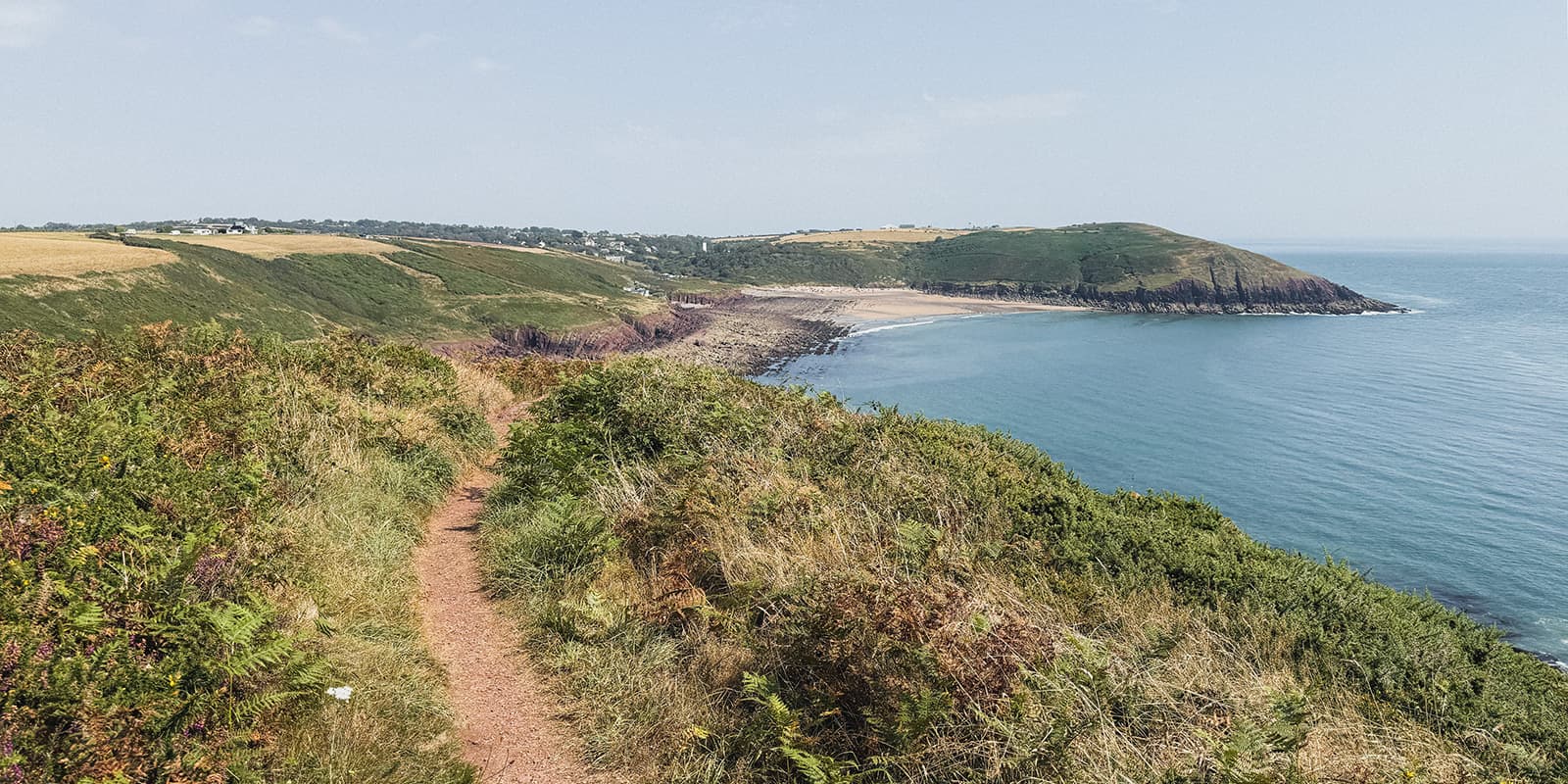 green field with flowers near the coast on the Pembrokeshire Coast Path