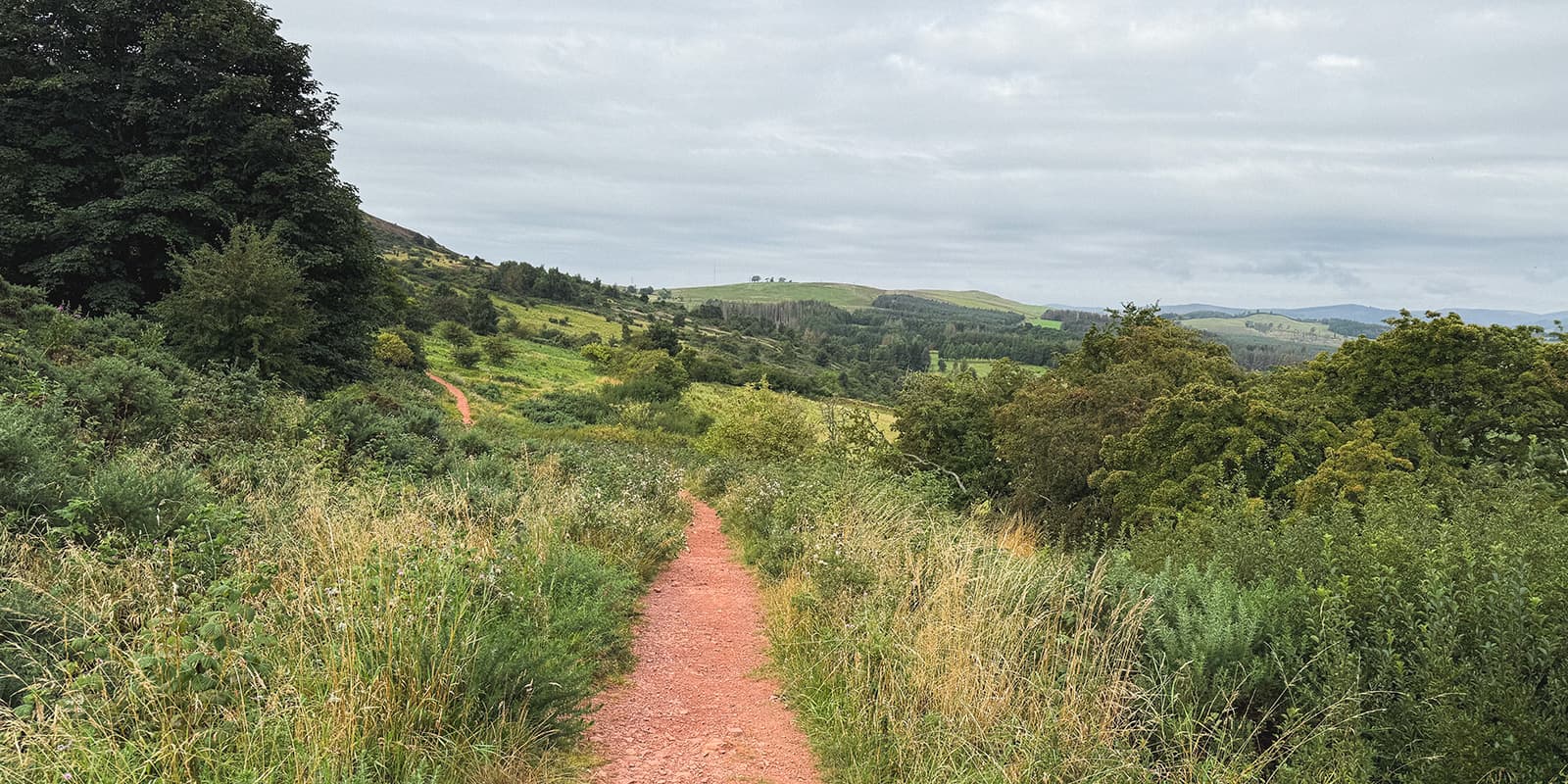 hiking trail in Scottish countryside on the St. Cuthbert's Way