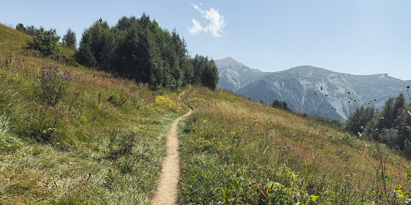 small hiking path in the Geogian mountains on the Svaneti Trekking