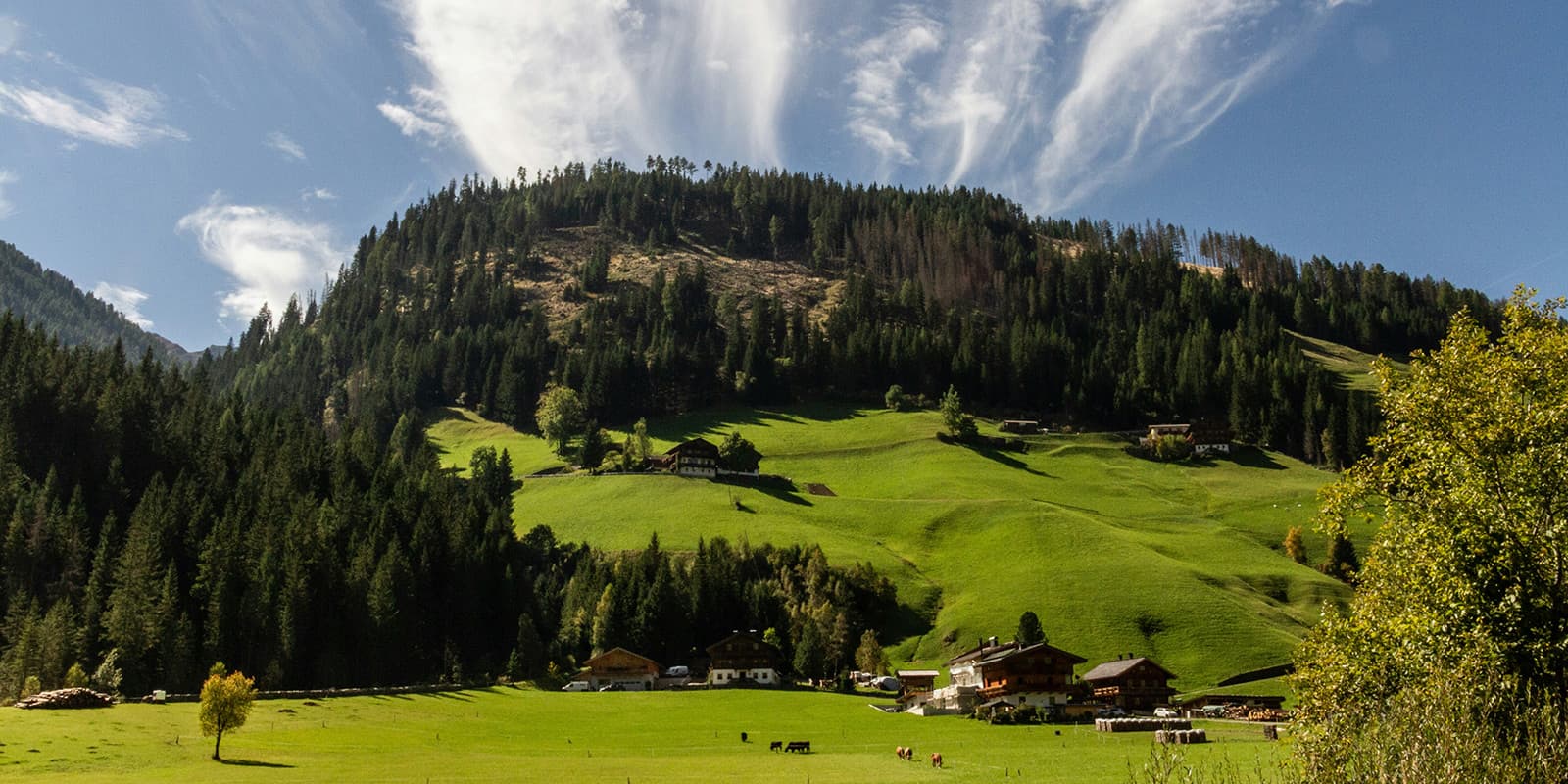 few houses in the Austrian Alps