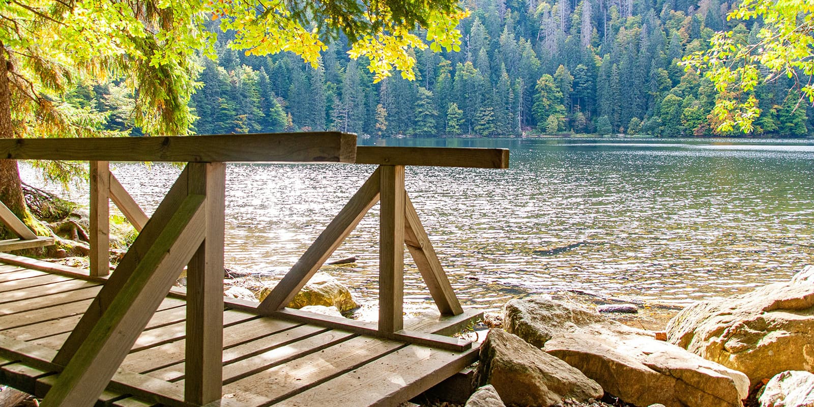 footbridge near lake in Schwarzwald Germany