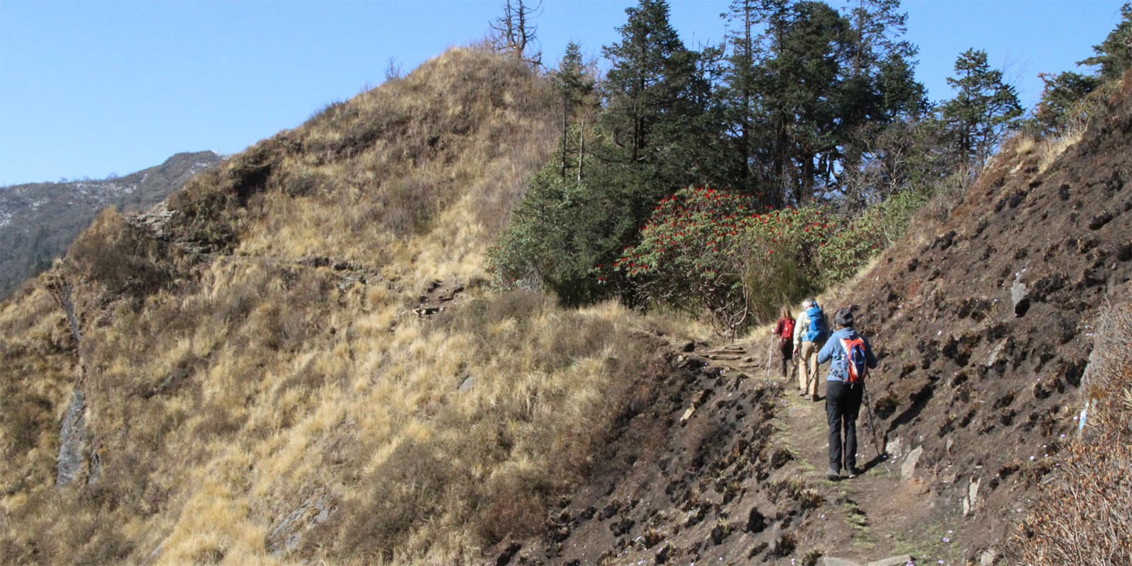 group of hikers on narrow mountain trail in Nepal on the Khopra Danda Trek