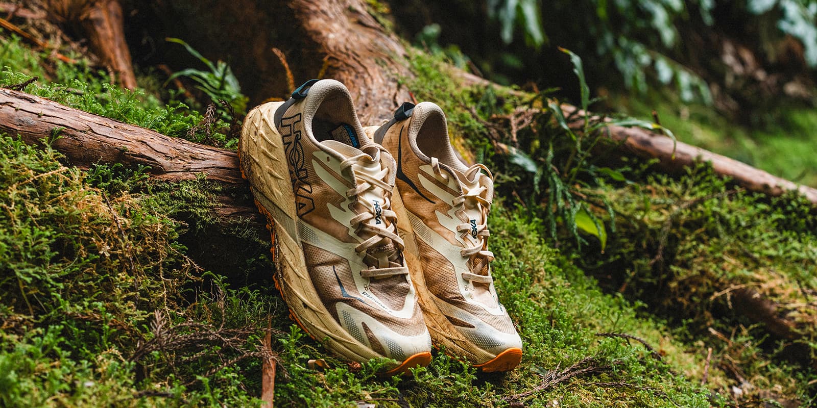 Hoka speedgoat 7