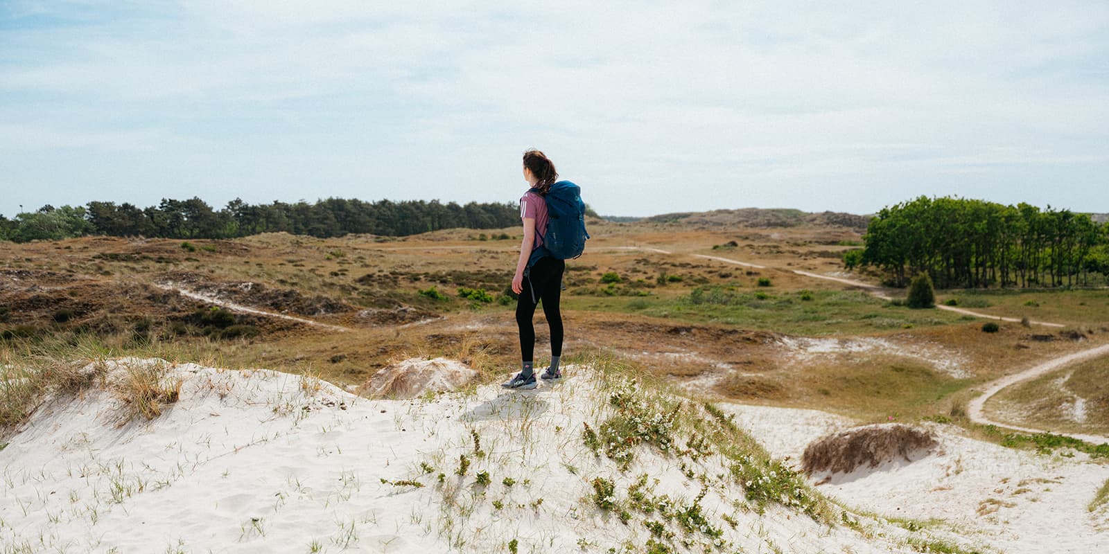 hiker overlooking dunes in The Netherlands on Het Ziltepad